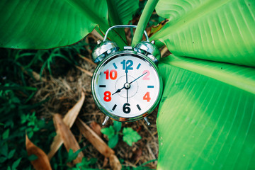 An Alarm Clock Set To 8 AM to Represent Time That People Going to Work