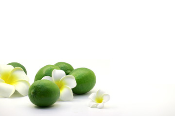 Tropical fresh and delicious lime objects