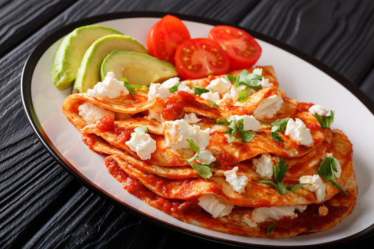 Mexican freshly prepared entomatadas with farm cheese, tomato sauce, greens and avokdo closeup. horizontal