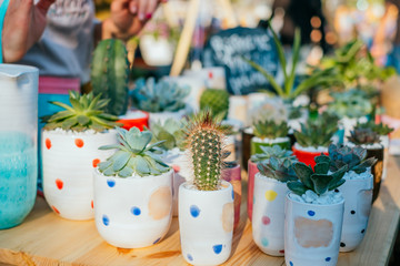 Beautiful succulent pants at the pots. Spotted on the flower market.