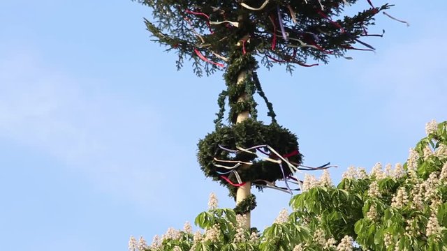 maypole_wide_redyellowblue_southgermany