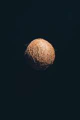 close-up view of single whole ripe coconut isolated on black