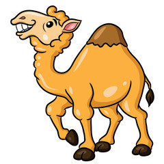 Camel Cute Cartoon
Illustration of cute cartoon camel.