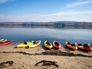 Colorful kayaks along the sandy shoreline at Point Reyes, Tomales Bay, Marin County, California