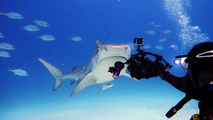 Portrait of a diver while he is filming a hammerhead shark. Concept: Nature, holidays, passion