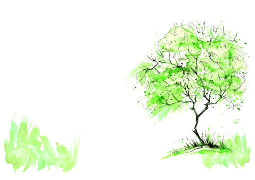 Watercolor summer landscape. Green tree on a bright grass. On a white background. Summer tree on a background of abstract green spots, a splash of paint. Logo, postcard, element for design.