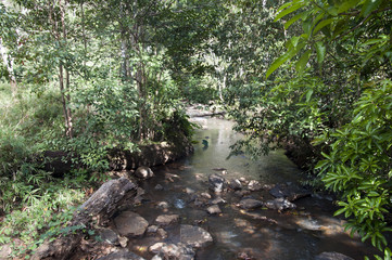 Sen Monorom Cambodia, jungle landscape with river