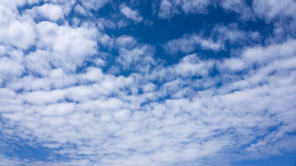 Fototapeta premium white clouds on blue sky