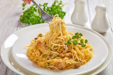 Tetrazzini - pasta, cream sauce, chicken, cheese