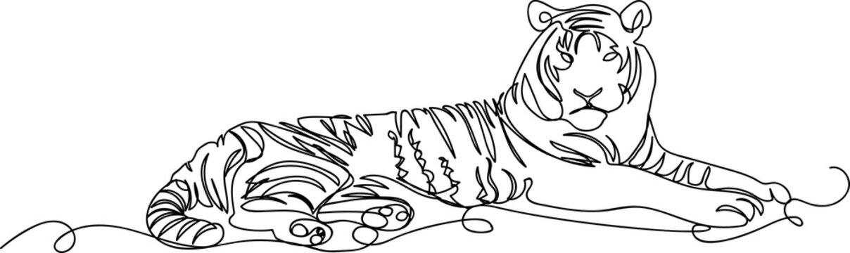 tiger. one line