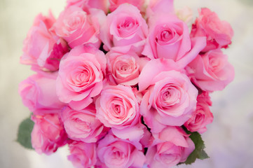 Obraz na płótnie Canvas Pink Roses