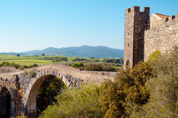 Fototapeta premium bridge over the river Fiora near the castle of Vulci