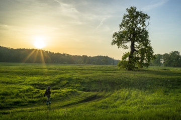 poranek nad łąkami © Piotr Szpakowski