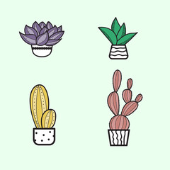 Cute hand hand draw cactus and succulent doodle set.