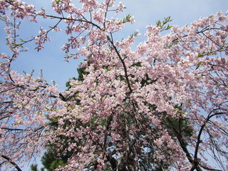 Fototapeta premium OLYMPUS DIGITAL CAMERA