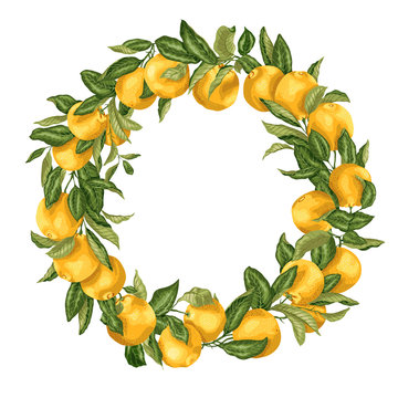 Citrus orange tree ornament wreath with fruits and leaves on the branches in bright vector illustration drawing design
