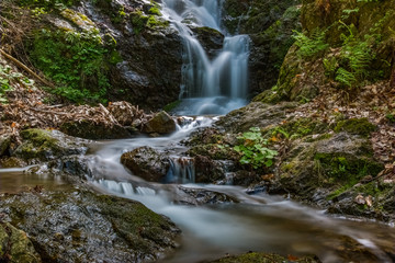 Stream flowing through the forest near the  north Italian village Nocerno
