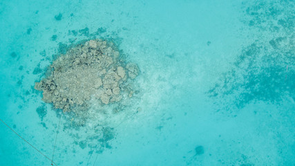 Aerial top view coral reef Maldives Island in Indian Ocean.