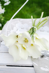 Bouquet of white calla flowers (Zantedeschia) in the garden