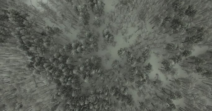Misty Winter Over Ural Mountains Under a cloudy sky - Aerial View