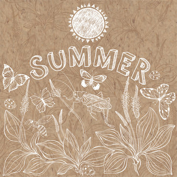 Summer background. Vector hand drawn  illustration with plantain, insects, lettering and space for text on kraft paper. Invitation, greeting card or an element for your design.