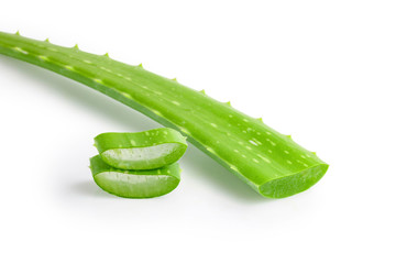Green aloe vera on a white background with clipping path.