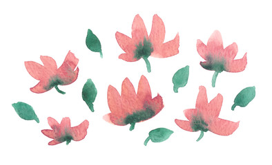 Composition of pastel pink flowers and small green leaves painted in watercolor on clean white background