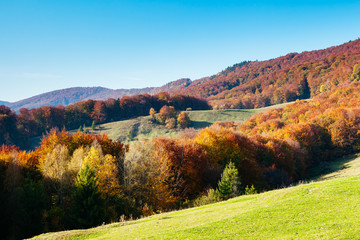 Fototapeta premium Great alpine valley that glows in the sunlight. Carpathians, Ukraine.