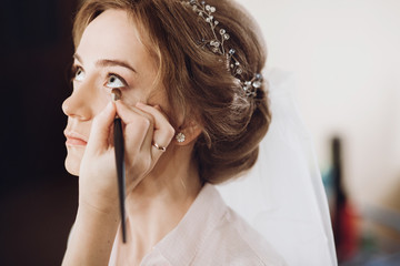 make up. bride getting on her make-up on by professional artist, morning preparation. beautiful...