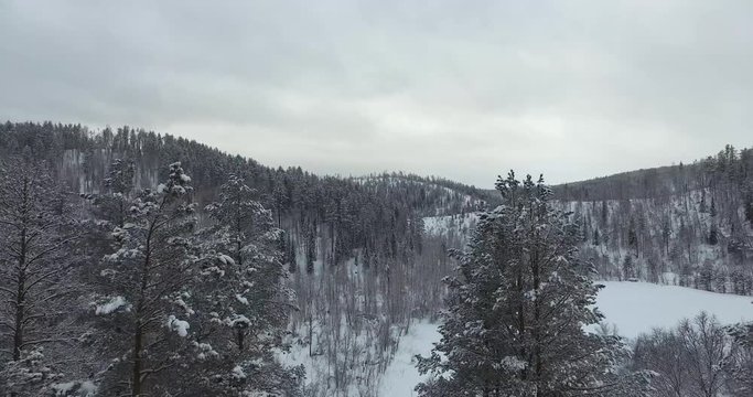 Misty winter Forest Mountain landscape snow Covered Trees Drone Footage Winter Nature Aerial view in Season Travel White Frozen Famous Tourism