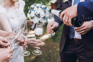 Couple of newlyweds, bride and groom together with bridesmaids and groomsmen drinking champagne outdoors hands closeup, wedding celebration with friends