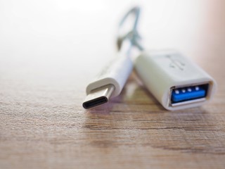White otg cable with usb type-c connection for smartphones with external connectors