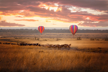 Masai Mara sunrise with wildebeest and balloons - obrazy, fototapety, plakaty
