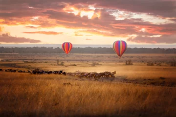 Foto op Aluminium Masai Mara sunrise with wildebeest and balloons © Rixie