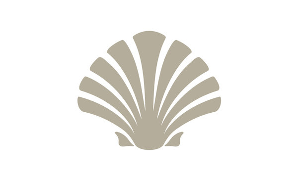 Beauty Seashell Oyster Scallop Shell Bivalve Cockle Mussel Clam Simple Silhouette logo design 