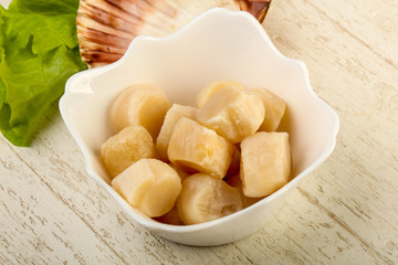 Raw scallops heap