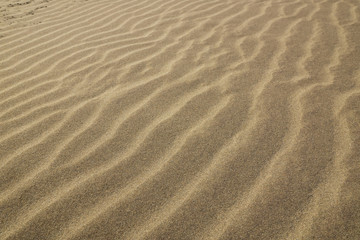 White sand lines on a beach under the strong wind.