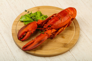 Lobster