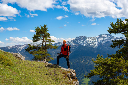 Adventurer stands on a cliff next to a pine tree