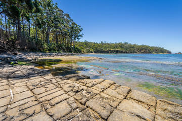 Amazing view to Tessellated Pavement, Eaglehawk Neck turquoise blue water and green shore jungle forest on warm sunny clear sky relaxing day, Tasman Peninsula National Park, Tasmania, Australia