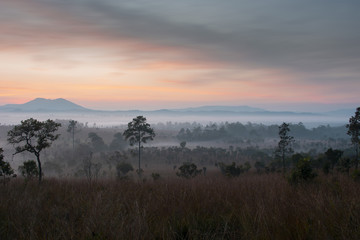 Fototapeta na wymiar Sunrise landscape tropical forest view. 