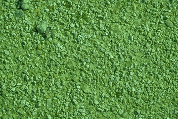 Ultra green Ground texture, sand surface, stone background