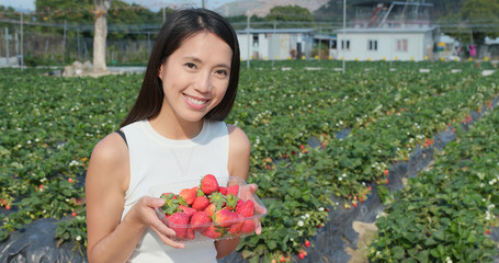 Woman holding strawberry in the field