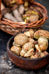 Fresh forest mushrooms in a bowl
