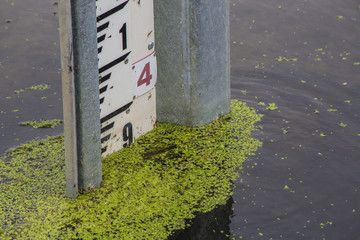 Water level gauge in Somerset river