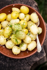 young boiled potatoes