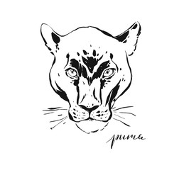Hand drawn vector abstract artistic ink textured graphic sketch drawing illustration of wildlife puma head isolated on white background
