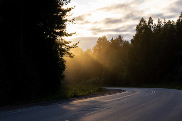 Evening rays on the road