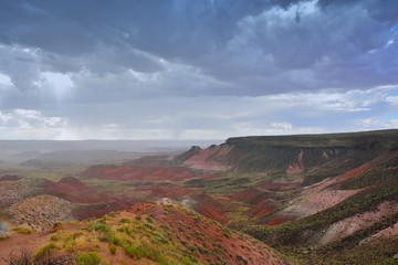 Fototapeta premium Petrified Forest National Park, USA.