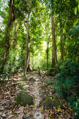 Khao Phanom Bencha national park